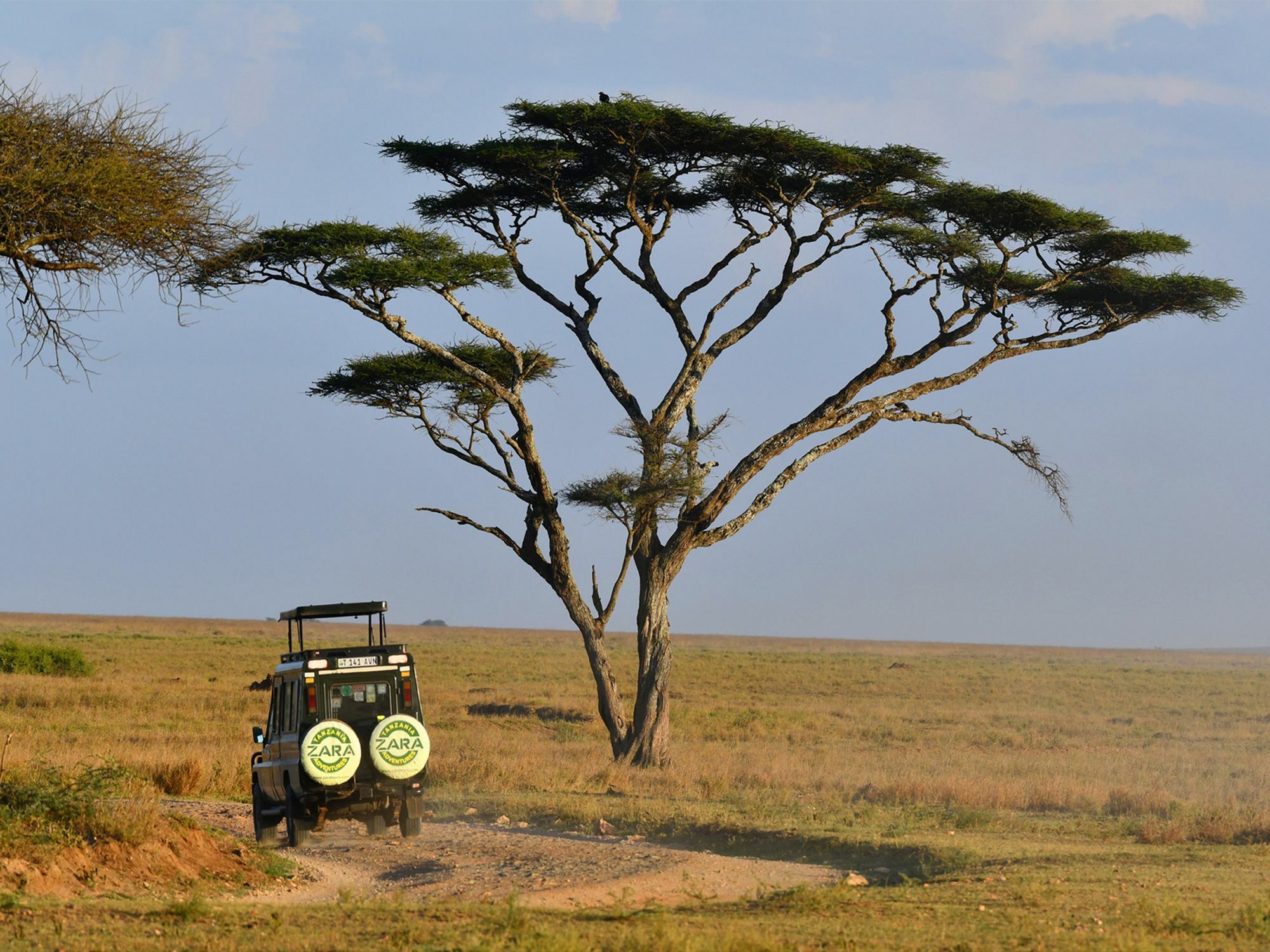 Serengeti Safari Lodge Exterior photo